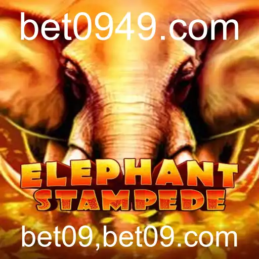 bet09,bet09.com Jogos de loteria
